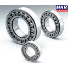 Spherical Roller Bearing 23160